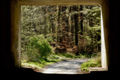 Eine A45 Unterführung bietet den Rahmen für ein schönes Motiv des Waldes um Echzell.