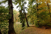 Herbststimmung am Jägerteich im Echzeller Markwald.