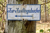 Wegweiser zur Zwillingsbuche im Echzeller-Markwald.