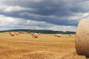 Zwischen Staden und Stammheim treiben sommerliche Gewitterwolken über ein abgeerntetes Getreidefeld.