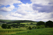 Felder, Wälder, Hecken und Streuobstbestände sind typische Landschaftsformen im Osten der Wetterau.