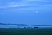 Morgennebel zur blauen Stunde in der Nähe von Ober-Florstadt.