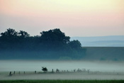 Die Stammheimer Dorfwiesen am frühen Morgen.