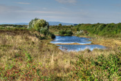 Zwischen dem Teufelsee und dem Pfaffensee im Zentrum der Wetterau, befindet sich eine naturbelassene Flachwasserzone.