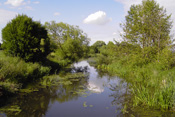 Die Nidda durchfließt die gesamte Wetterau und entwässert mit ihren Zuflüssen den gesamten Landstrich.