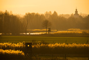 Die Natur bei Trais-Horlof im herbstlichen Gegenlicht.