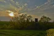 Abendliches Dämmerlicht am Honigberg.