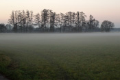 Spätsommerlicher Frühnebel in der Horloffaue.