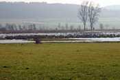 Ein Hügelgrab zeugt von der frühen Besiedelung der Wetterau.