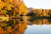 Der Stammheimer Fischteich im Herbst.