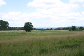 Offene Auen gehören zum Landschaftsbild der Wetterau.