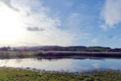 Große Bereiche im Ockstädter Ried stehen unter Wasser.