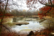 Herbststimmung am Otto-Teich im Echzeller Markwald.