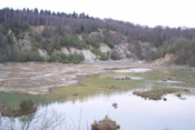 Der alte, strukturreiche Quarzit-Steinbruch bei Rossbach bietet viele Entfaltungsmöglichkeiten für die Natur.