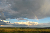 Regenbogen über der Wetterau.