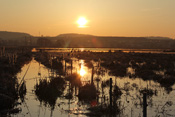 Das Bingenheimer Ried gehört zu den Kernzonen im Auenverbund Wetterau. Das Bild zeigt einen schönen Sonnenaufgang im Herbst.