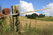 Stillleben mit Zaun und Drahtspule bei Ulfa.