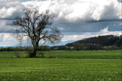 Von Nieder Mockstadt aus überblickt man die ganze Wetterau bis zum Großen Feldberg im Taunus.