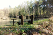 Eine alte Sitzbank und im Hintergrund der Forellenteich im Markwald von Echzell bieten ein schönes Landschaftsmotiv.