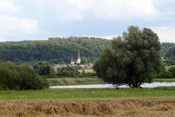 Das Naturschutzgebiet Nachtweid bei Dauernheim ist ein Lebensraum seltener Tiere und Pflanzen. Aber auch der Mensch fühlt sich in der Natur geborgen.