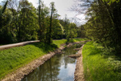 Nach Sünden der Vergangenheit versucht man nun mit Renaturierungsmassnahmen in der Wetterau, die alten Lebensbedingungen in der Natur zurück zu gewinnen.