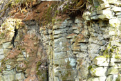 In den vielen Rissen und Spalten alter Basaltsteinbrüche leben viele unterschiedliche Fledermäuse.