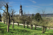 Alte Streuobstbestände gehören zum Landschaftsbild der Wetterau.