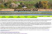 Bingenheimer Ried